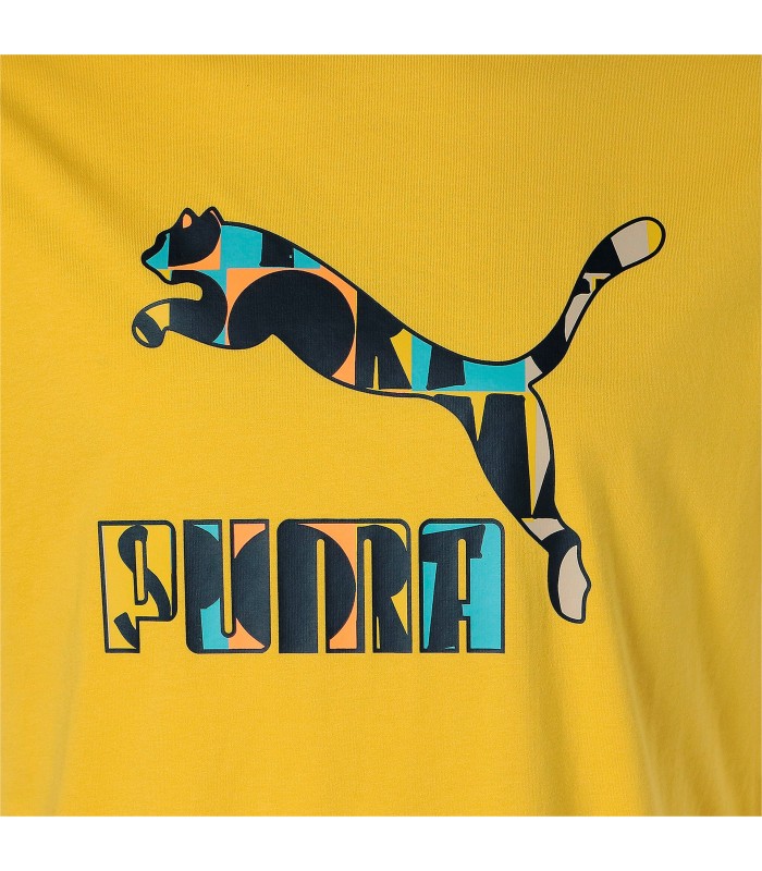 Puma мужская футболка HC Graphic 533632*31 (10)