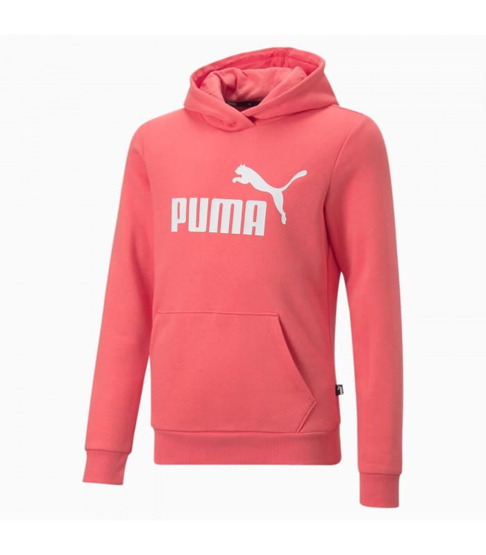 Puma laste dressipluus Essentials Logo Youth 587031*58 (5)