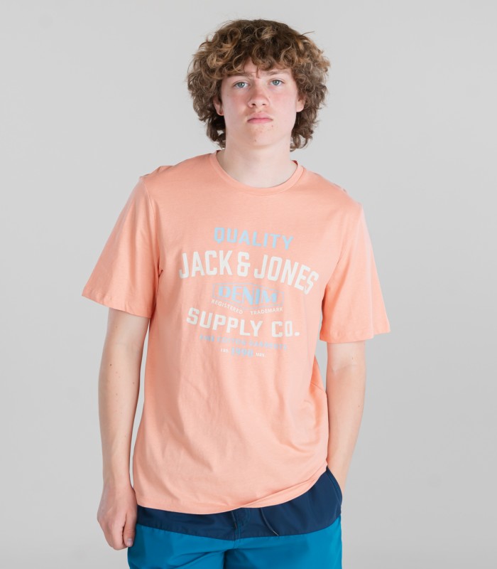 JACK & JONES miesten t-paita 12238935*04 (2)