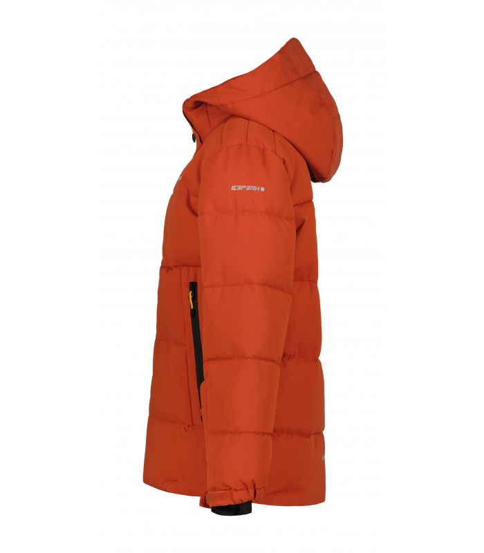 Icepeak детская куртка 300g Louin 50035-4*665 (1)