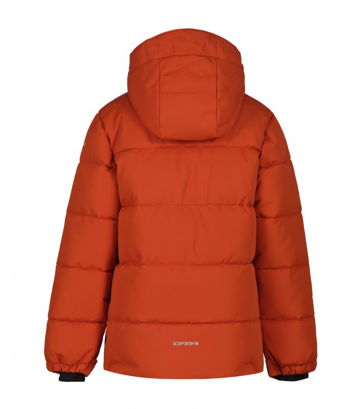 Icepeak детская куртка 300g Louin 50035-4*665 (3)